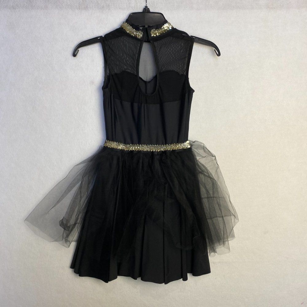 Dance Costume Dress Girls Size 10 Sleeveless Tuelle Flutter Embellished Metallic - Picture 2 of 7